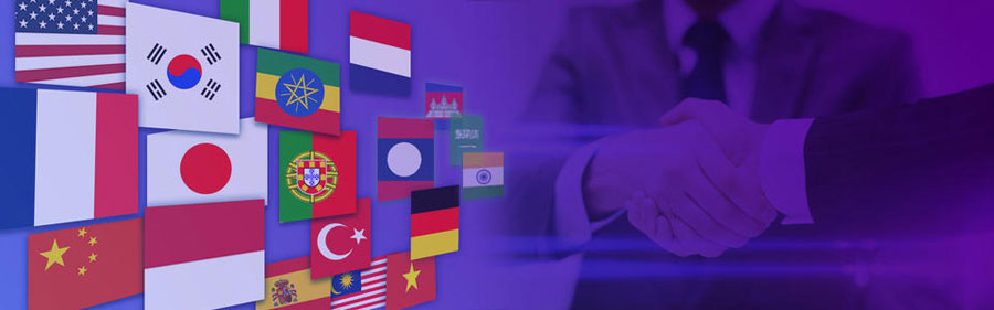 阜阳小语种网站建设  第2张