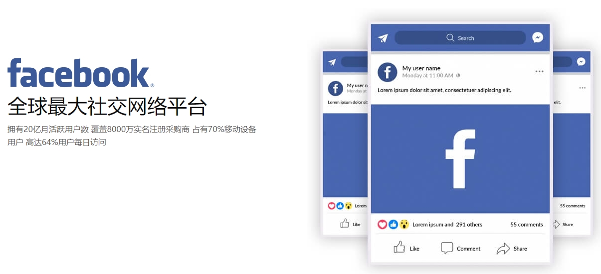 阜阳海外社交媒体营销  第1张